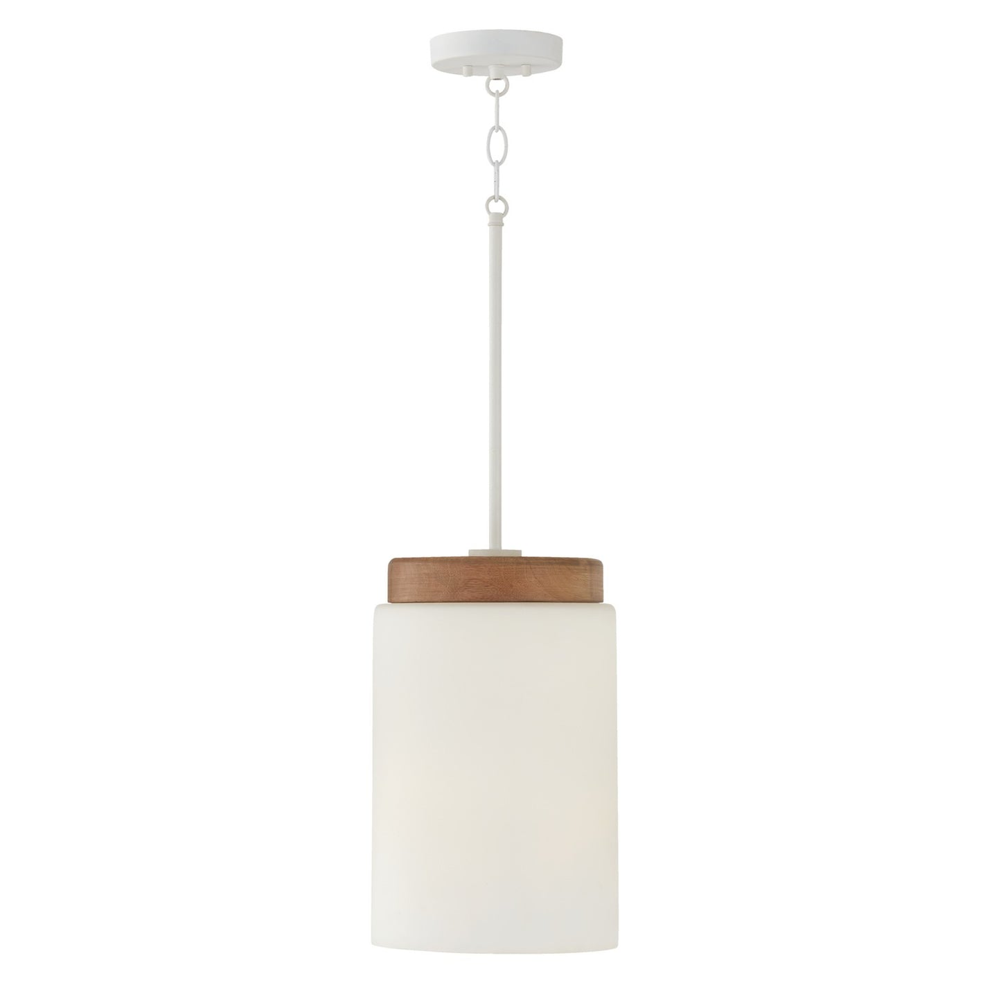 Liam Pendant by Capital Lighting