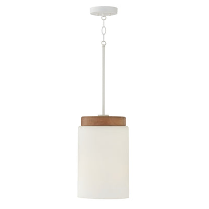Liam Pendant by Capital Lighting