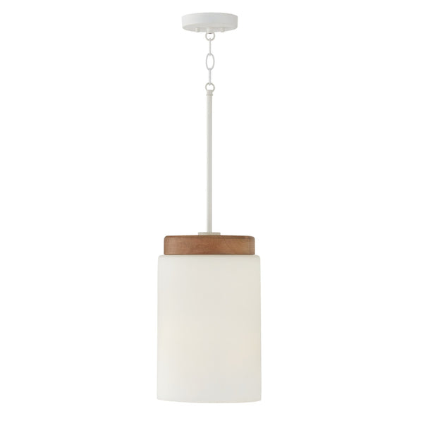 Liam Pendant by Capital Lighting