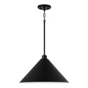Alden Pendant by Capital Lighting