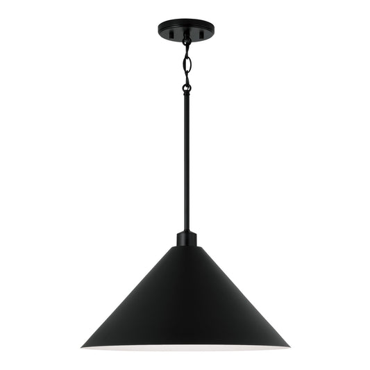 Alden Pendant by Capital Lighting