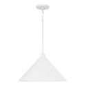 Alden Pendant by Capital Lighting