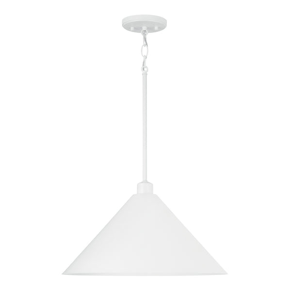 Alden Pendant by Capital Lighting