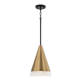 Avant Pendant by Capital Lighting
