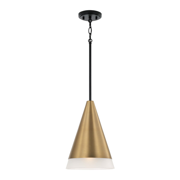 Avant Pendant by Capital Lighting