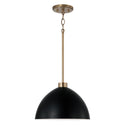 Ross Pendant by Capital Lighting