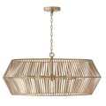 Kaiya Chandelier by Capital Lighting