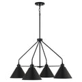 Alden Chandelier by Capital Lighting