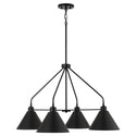 Alden Chandelier by Capital Lighting