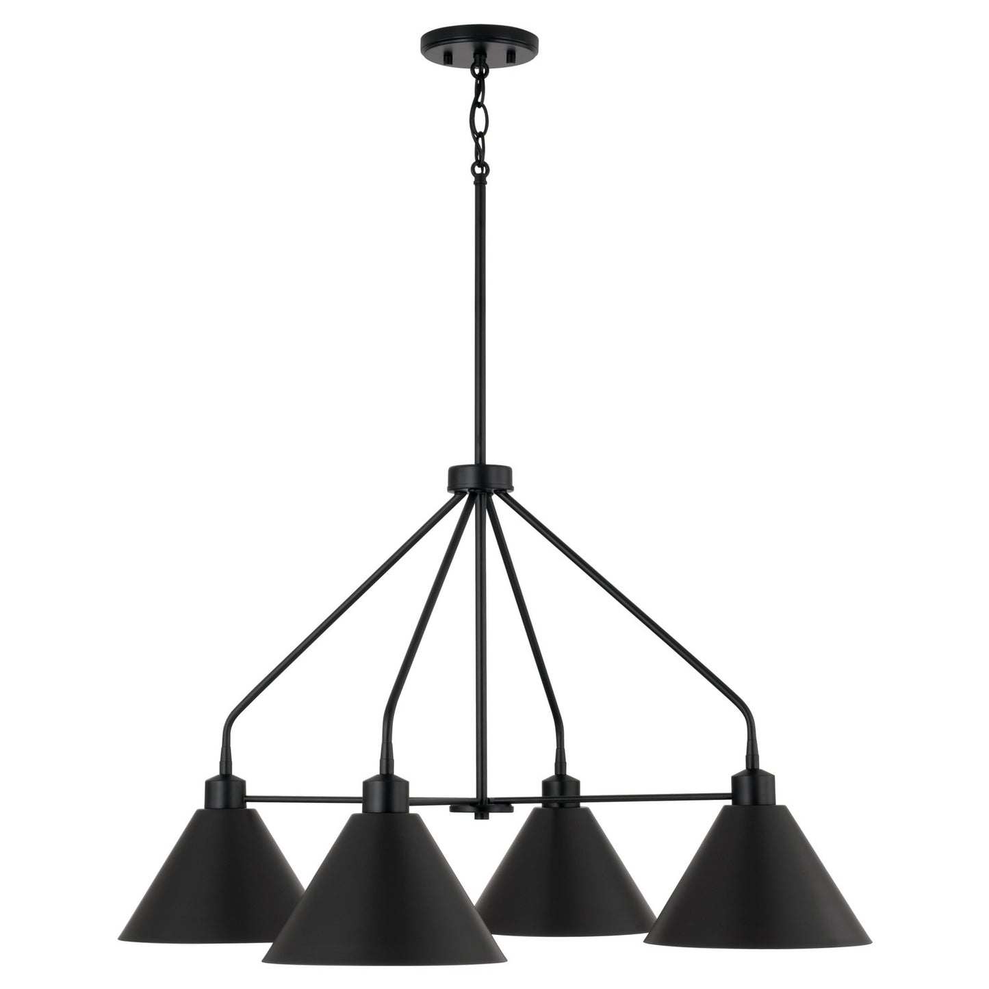 Alden Chandelier by Capital Lighting