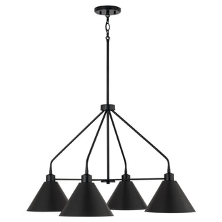 Alden Chandelier by Capital Lighting