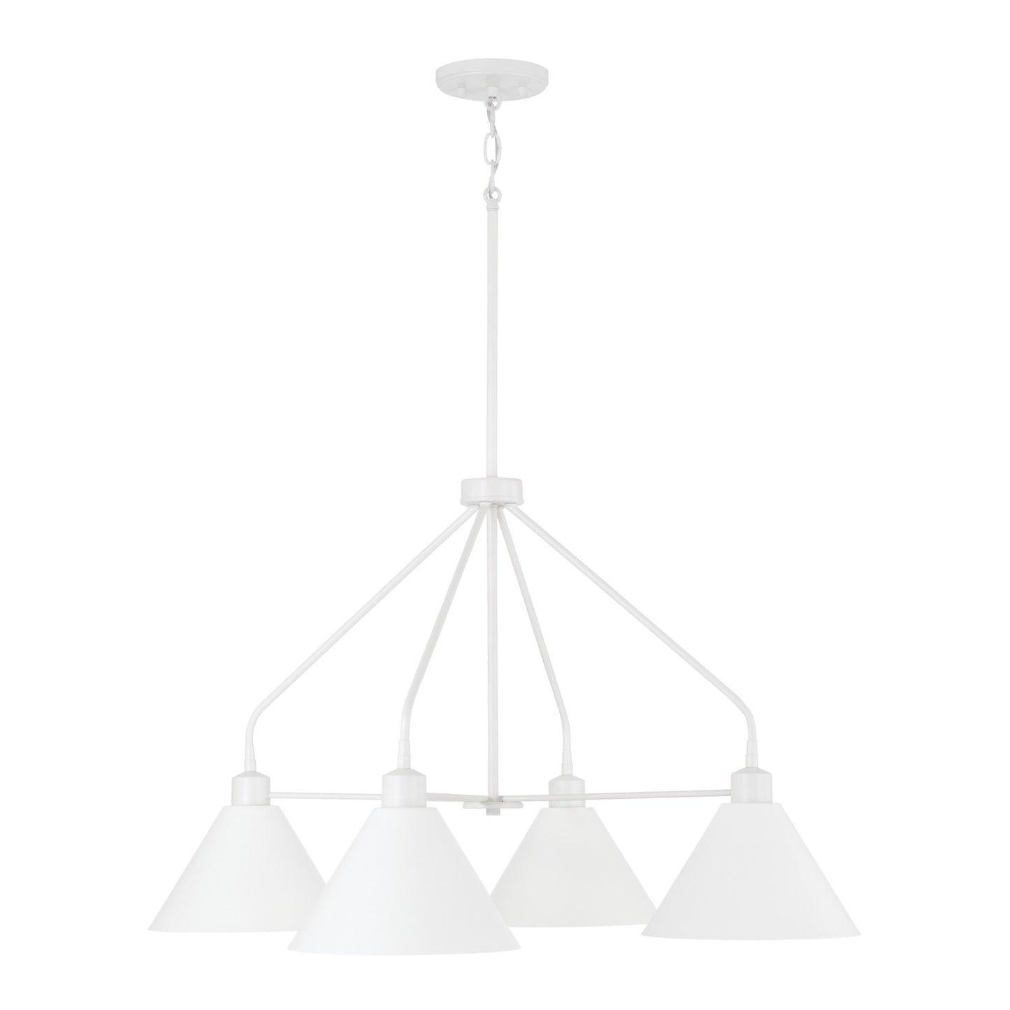 Alden Chandelier by Capital Lighting