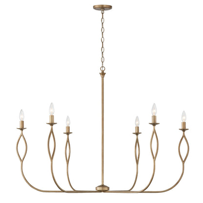 Cohen Chandelier by Capital Lighting
