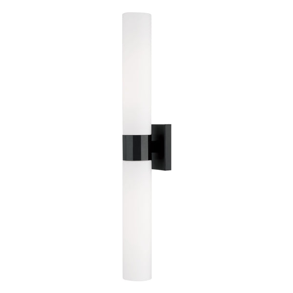 Sutton Outdoor (Damp) Wall Sconce by Capital Lighting