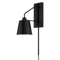 Alden Outdoor (Damp) Wall Sconce by Capital Lighting