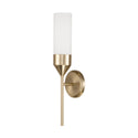 Devon Outdoor (Damp) Sconce by Capital Lighting