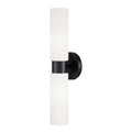 Theo Outdoor (Damp) Wall Sconce by Capital Lighting