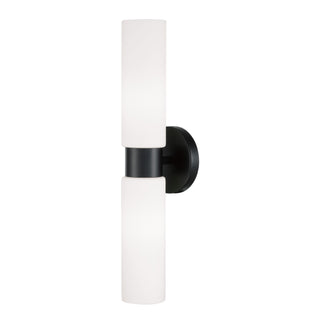 Buy matte-black-with-soft-white-glass-glass-and-white-shade Theo Outdoor (Damp) Wall Sconce by Capital Lighting