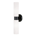Theo Outdoor (Damp) Sconce by Capital Lighting