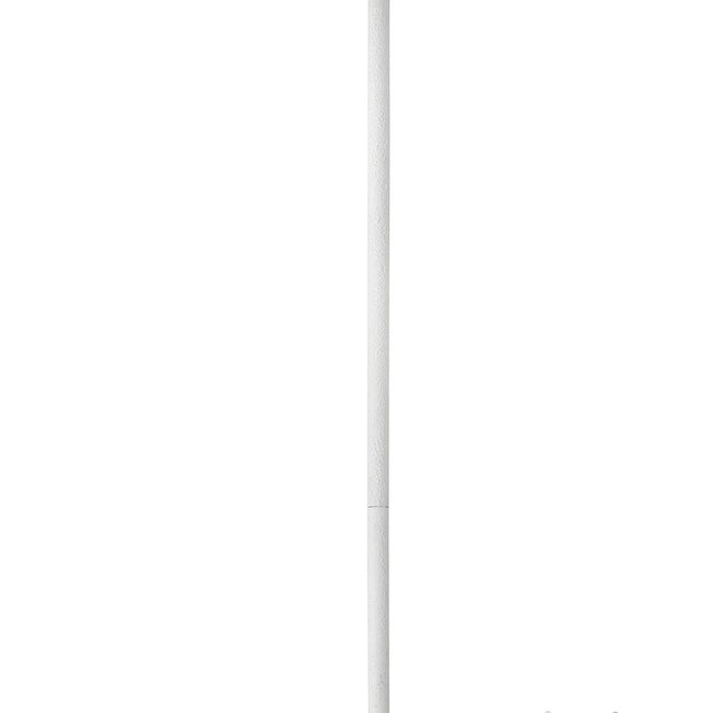 Hinkley-6030TXP|MAIN