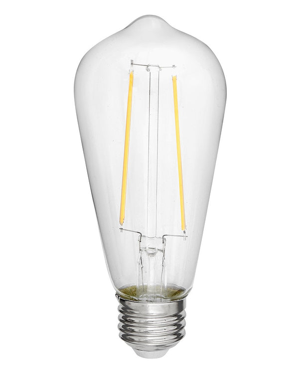 Antique 2 Watt Medium E26 120V Outdoor (Damp)LED 2400k Light Bulb by Hinkley