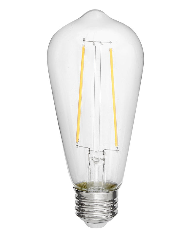 Antique 2 Watt Medium E26 120.00V LED 2400k Light Bulb by Hinkley