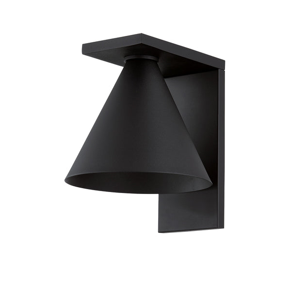 Sean Outdoor (Wet) Sconce by Troy Lighting