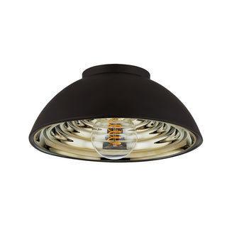 Eclipse Outdoor (Damp) Flush Mount Light by Troy Lighting
