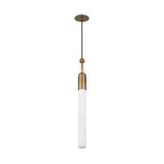 Darby Outdoor (Damp) Pendant by Troy Lighting