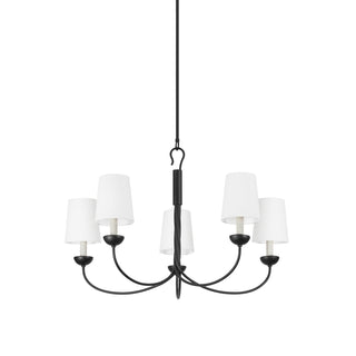 Montpelier Outdoor (Damp) Chandelier by Hudson Valley