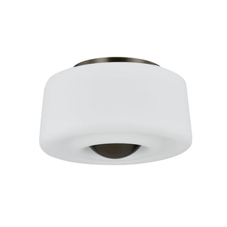 Buy true-bronze Ciela Outdoor (Damp) Flush Mount Ceiling Light by Mitzi
