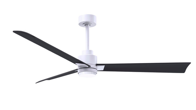 Alessandra - LK Ceiling Fan by Matthews Fan Company