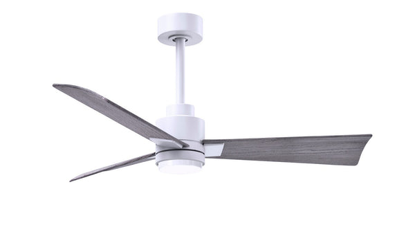Alessandra - LK Ceiling Fan by Matthews Fan Company