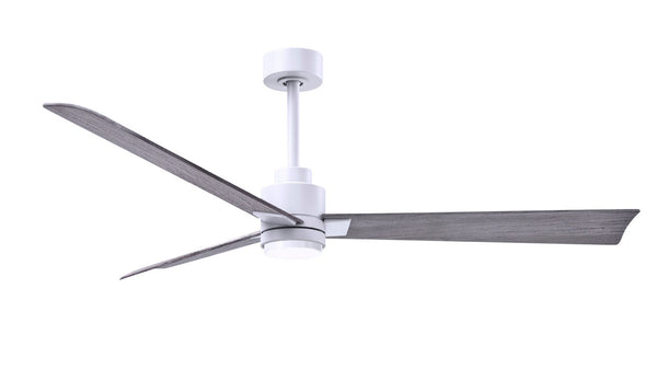 Alessandra - LK Ceiling Fan by Matthews Fan Company
