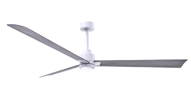 Alessandra - LK Ceiling Fan by Matthews Fan Company