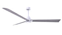 Alessandra - LK Ceiling Fan by Matthews Fan Company