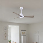 Matthews Fan Company-AKLK-MWH-GA-42|ALT|3