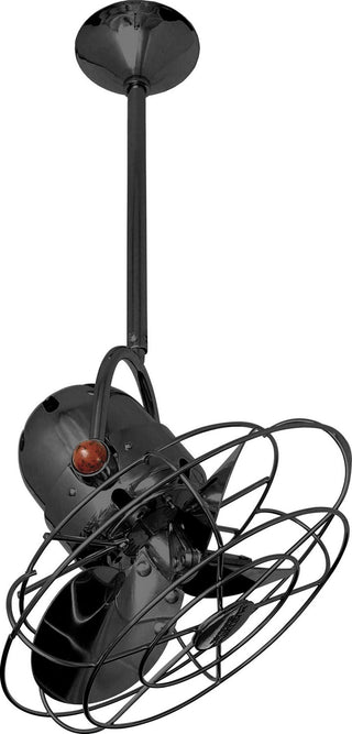 Buy black-nickel-finish-with-black-nickel-blades Bianca Direcional Ceiling Fan by Matthews Fan Company