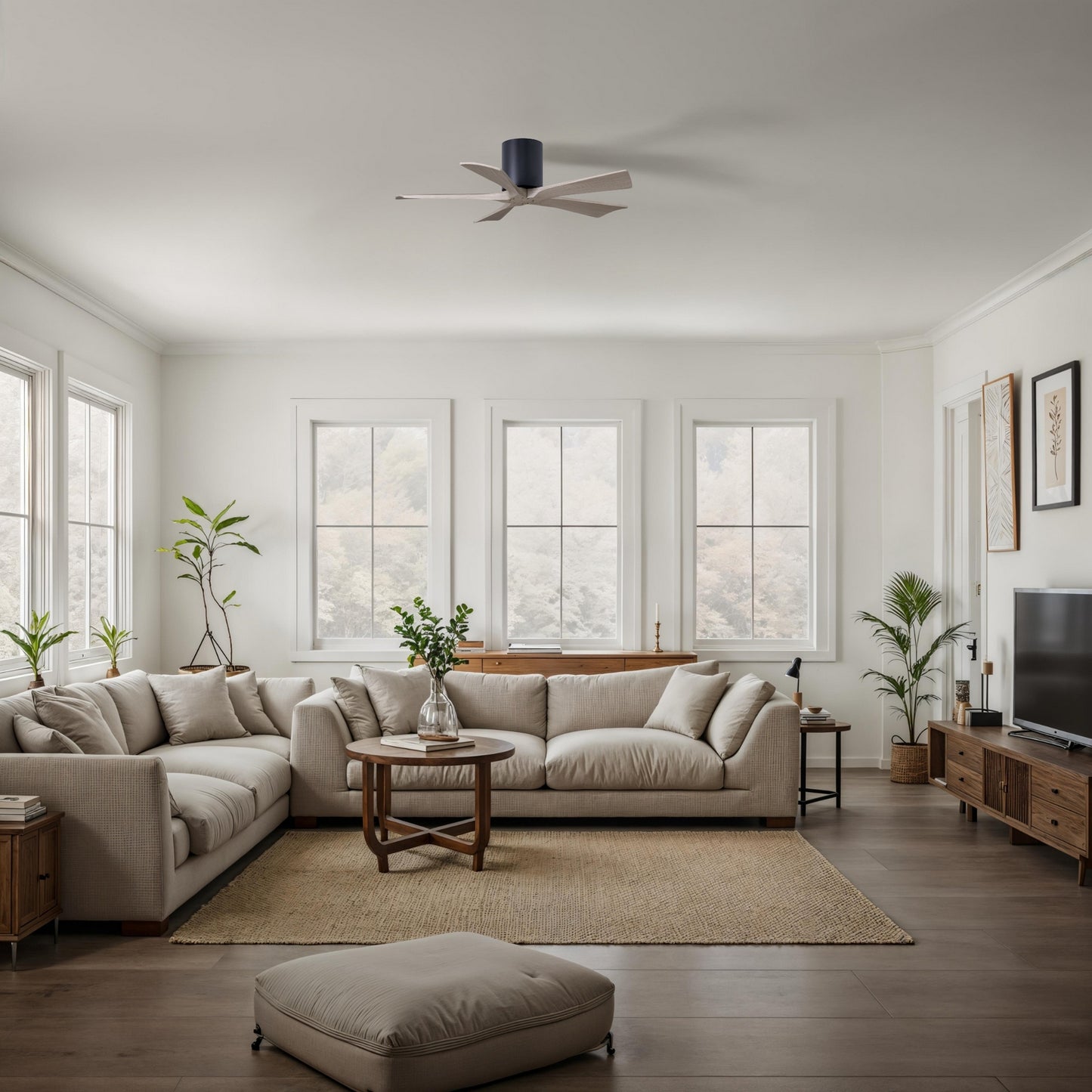 Matthews Fan Company-IR5H-BK-GA-42|ALT|3