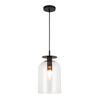 Buy matte-black-clear-glass-and-clear-shade Sylvia Pendant by Alora