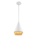 Daphne Outdoor (Damp) Pendant by Alora