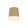 Conical Outdoor (Damp) Pendant by Accord Lighting