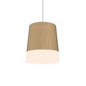 Conical Outdoor (Damp) Pendant by Accord Lighting