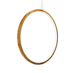 Accord Lighting-1296LED.12|MAIN