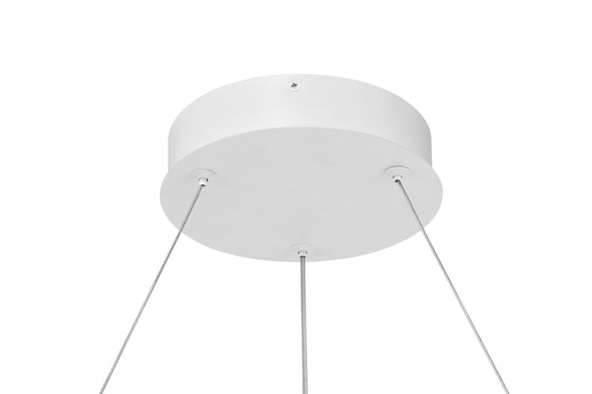 George Kovacs-P5555-44B-L|ALT|6