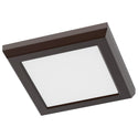 Outdoor (Wet) Flush Mount Ceiling Light by Nuvo Lighting