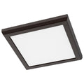 Outdoor (Wet) Flush Mount Ceiling Light by Nuvo Lighting