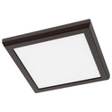 Outdoor (Wet) Flush Mount Ceiling Light by Nuvo Lighting