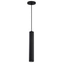 Century Outdoor (Damp) Pendant by Nuvo Lighting