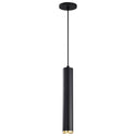 Century Outdoor (Damp) Pendant by Nuvo Lighting